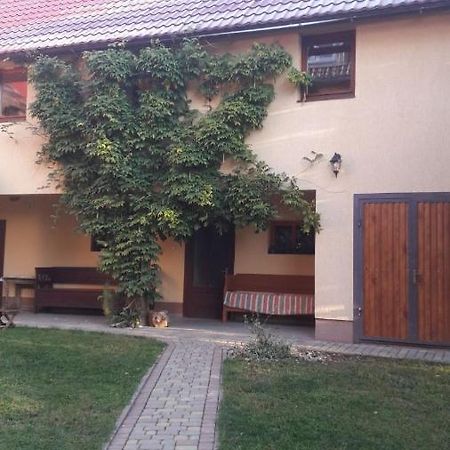 Зелена Садиба Олеся Nizhneye Selishche Bagian luar foto